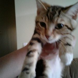 Meet your Posher, Angela