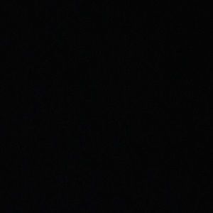 Meet your Posher, Lily