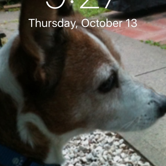 Meet your Posher, Tammy - Picture 1 of 1