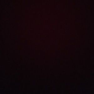 Meet your Posher, Amaris