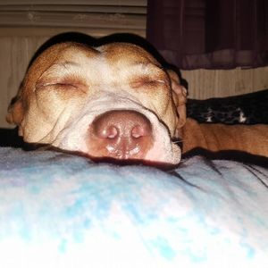 Meet your Posher, Willow