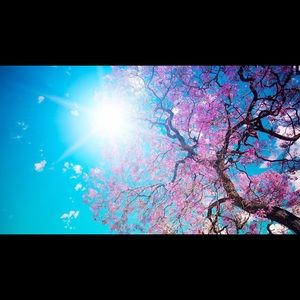 Meet your Posher, Beatriz