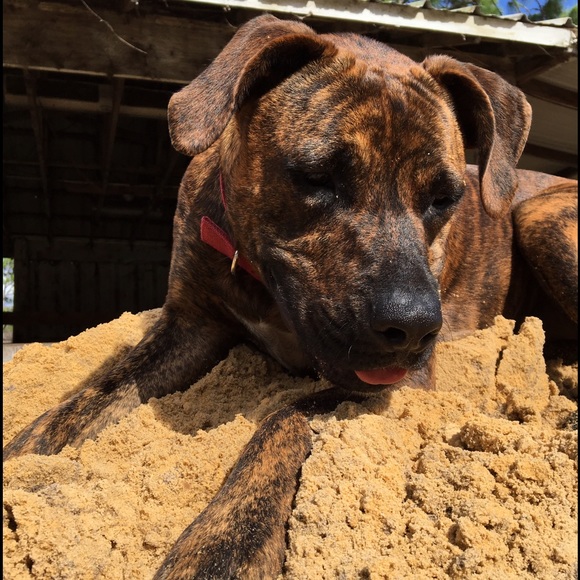 IM BACK - Picture 2 of 4