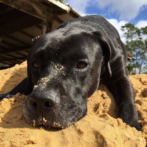 IM BACK - Picture 3 of 4