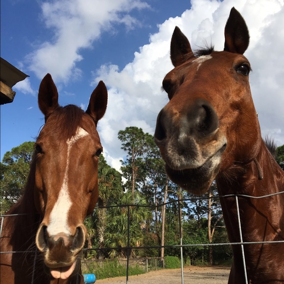 IM BACK - Picture 4 of 4