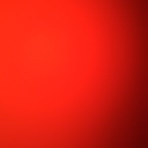 Meet your Posher, Lacey