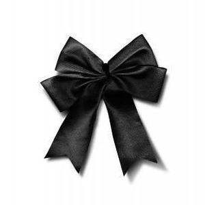 Meet your Posher, Fina