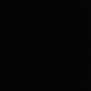 Meet your Posher, Preslee