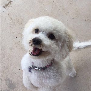 Meet your Posher, Carrie