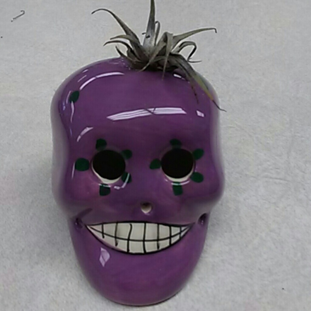 Meet your Posher, Sonia