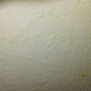 Meet your Posher, Roberto