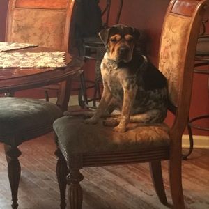 Meet your Posher, Sam