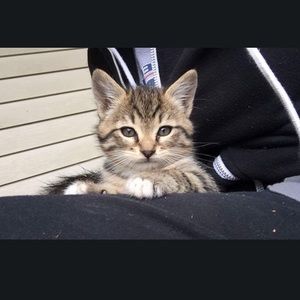 Meet your Posher, Chris