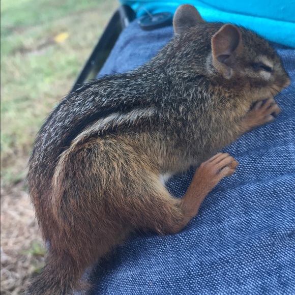 Meet your Posher, Stacey - Picture 1 of 1