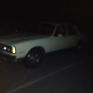 Meet your Posher, Darryll