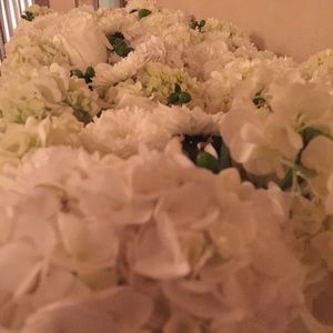 Meet your Posher, Rhiannon