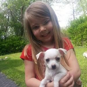 Meet your Posher, Loretta