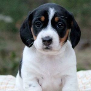 Meet your Posher, Deborah