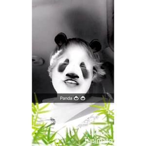 Meet your Posher, Logan