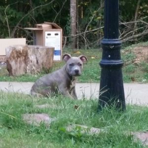 Meet your Posher, Gwen