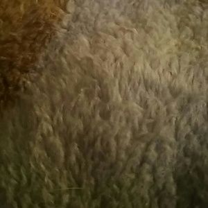 Meet your Posher, Carol