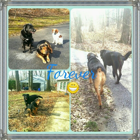 Meet Your Posher - Picture 2 of 8