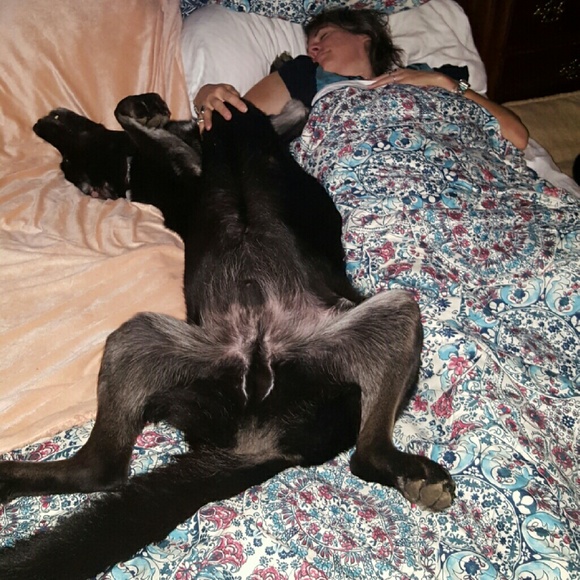 Meet Your Posher - Picture 3 of 8