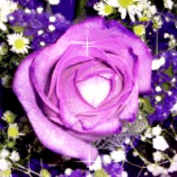 Meet your Posher, Marina - Picture 1 of 1