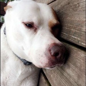 Meet your Posher, Christian