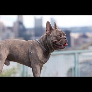 Meet your Posher, Chad