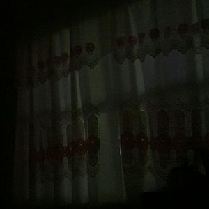 Meet your Posher, Rosa