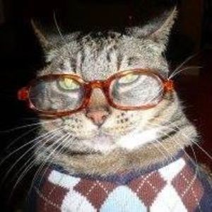 Meet your Posher, Toonces