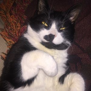 Meet your Posher, Michele