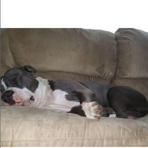 Meet your Posher, Angel