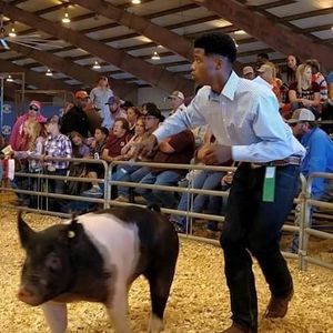 Meet your Posher, Chris