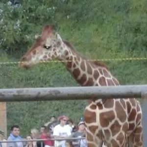 Meet your Posher, Lakishia