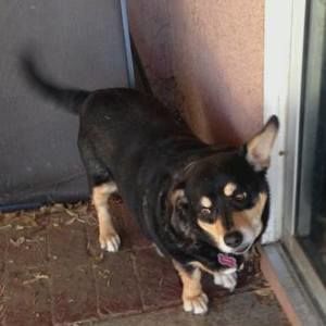 Meet your Posher, Anita