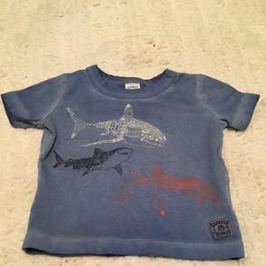 Oshkosh Burnout Shark Tee