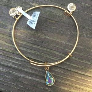 Rare Alex + Ani Living Water bangle