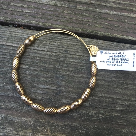 Retired Alex + Ani Gaia bangle