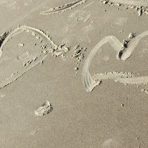 Meet your Posher, Elda