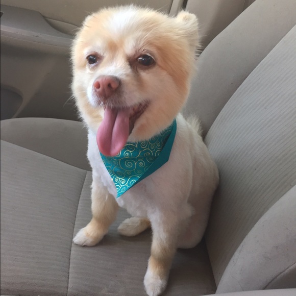 Meet your Posher, Ashly - Picture 1 of 1