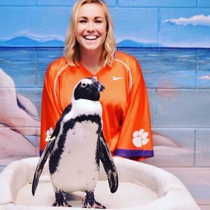 Meet your Posher, Julie