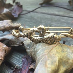 Rare Serpent Alex + Ani bangle 🐍