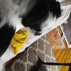 Meet your Posher, Amber