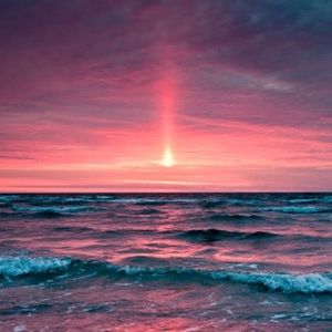 Meet your Posher, Blanca