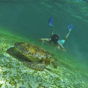 Meet your Posher, Austin