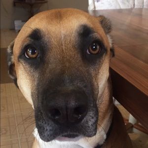 Meet your Posher, Crystal