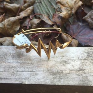 Alex + Ani ⚡️ lightning bolt wrap