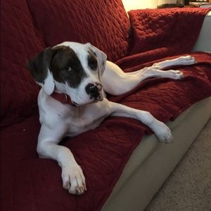 Meet your Posher, Austin